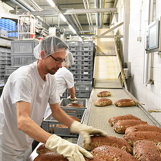 Food Processing and Production